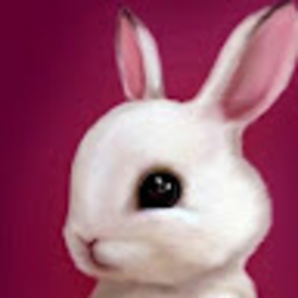 Meet your Posher, Rebekah